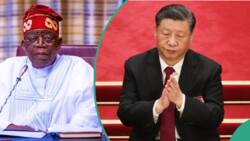 China cuts back on loans to Nigeria, other African countries as defaults increase
