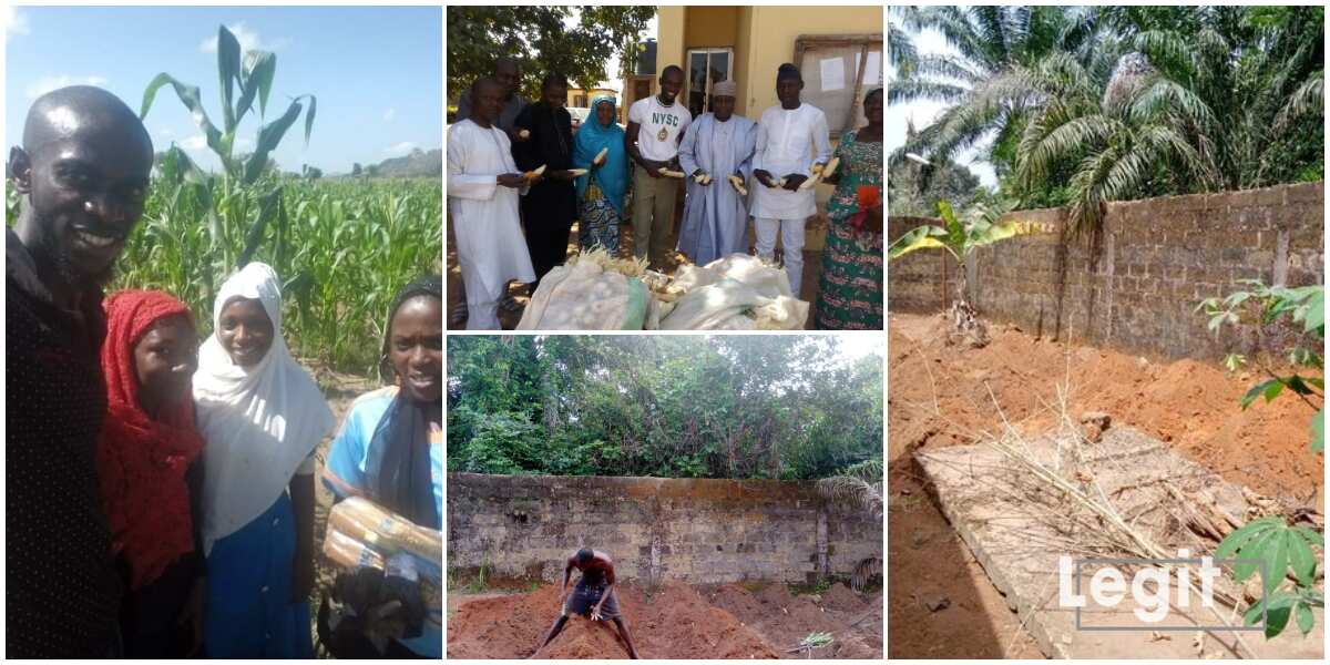 Chiemezie Ezeani: Another Nigerian Graduate who Has Taken Farming as a ...