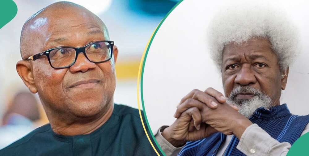 Wole Soyinka blasts Obi and LP supporters