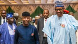 2023: Buhari insisted VP, SGF & Chief of Staff should stay away from APC campaigns