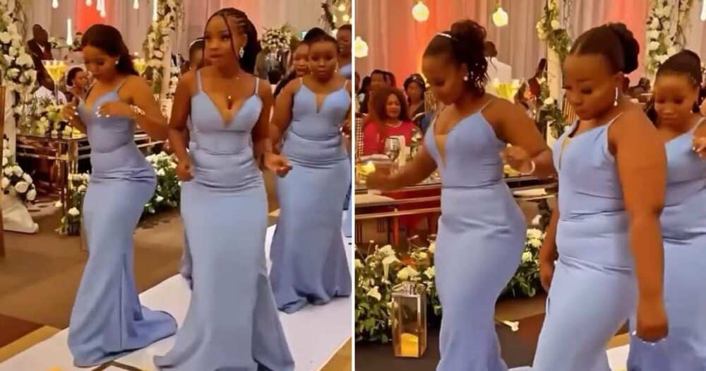 Video of Curvy Bridesmaids in Fitted Dresses Goes Viral With Over 1M Views  Online, Leaves many Drooling 