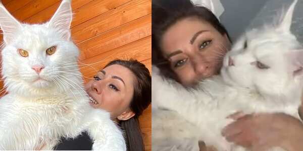 Yulia says her cat Kefir likes to climb on her body and sleep during the night