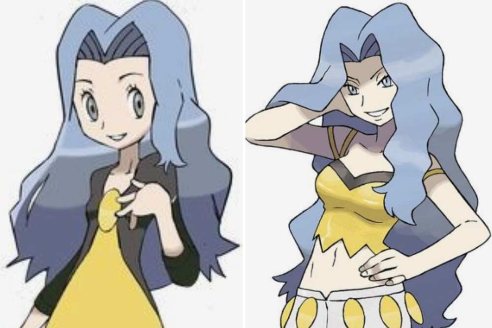 Pokémon female gym leaders