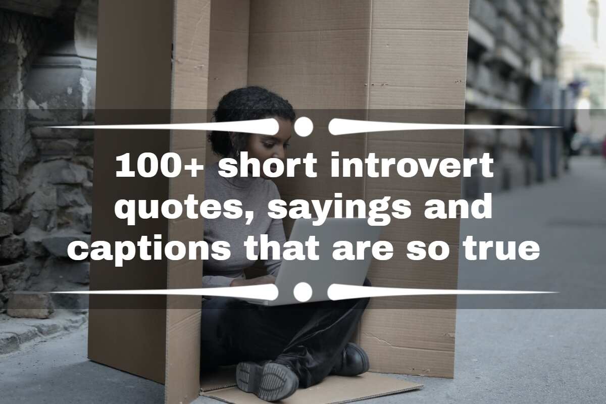 100+ short introvert quotes, sayings and captions that are so true -  
