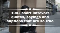 100+ short introvert quotes, sayings and captions that are so true