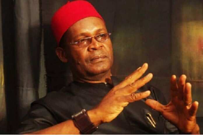 Igbo candidate can’t be trusted, Joe Igbokwe says