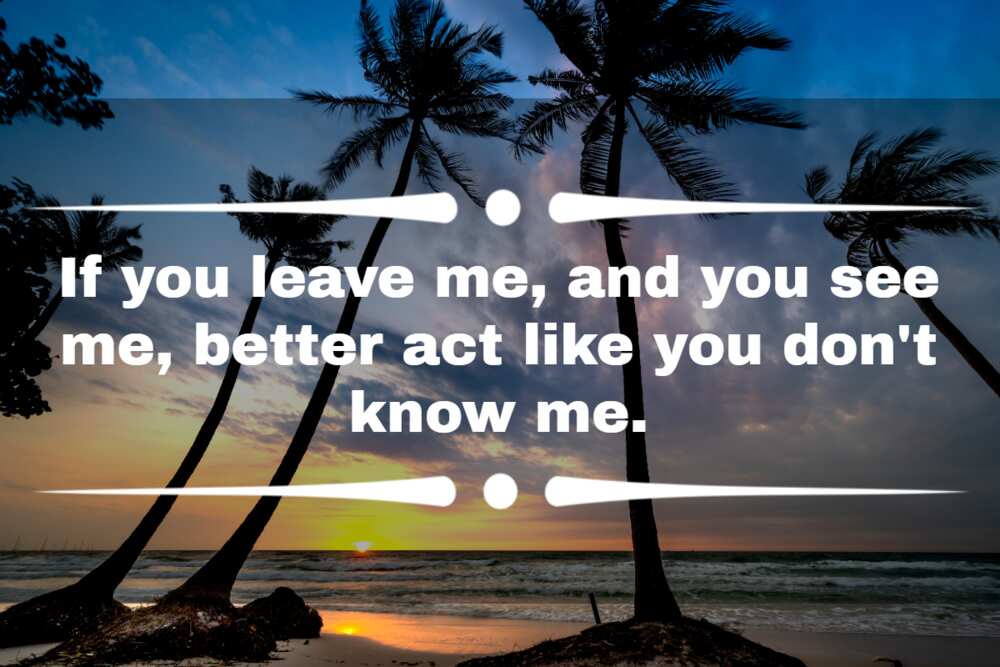 Megan Thee Stallion best lyrics Megan Thee Stallion best lyrics