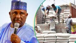 After increasing cement price, BUA Group approves 50% increase in workers' salaries