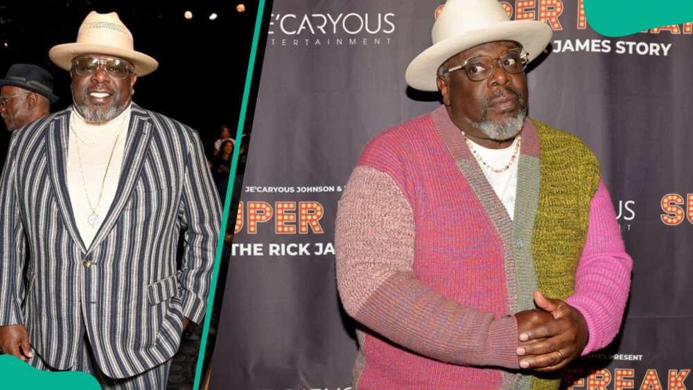 Cedric the Entertainer attending different past events