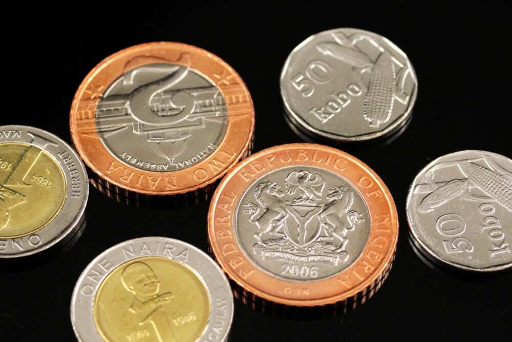 Nigerian currency notes and coins Nigerian currency notes and coins