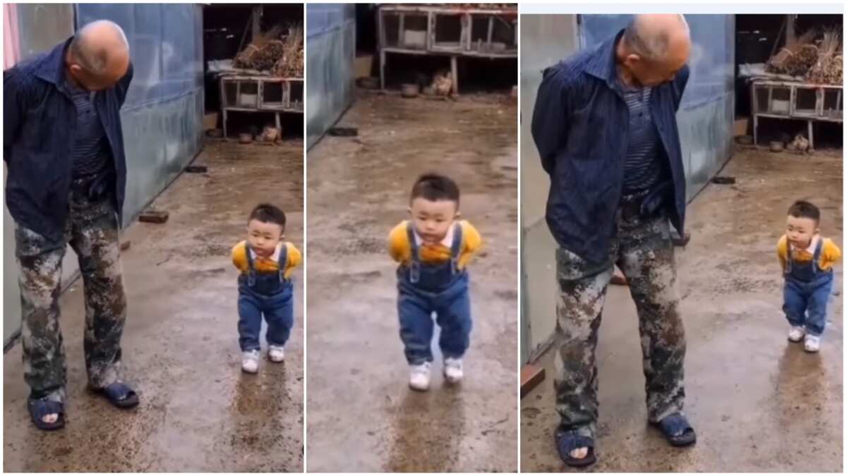 Video captures funny moment kid walks like grandpa, bends down & folds hands