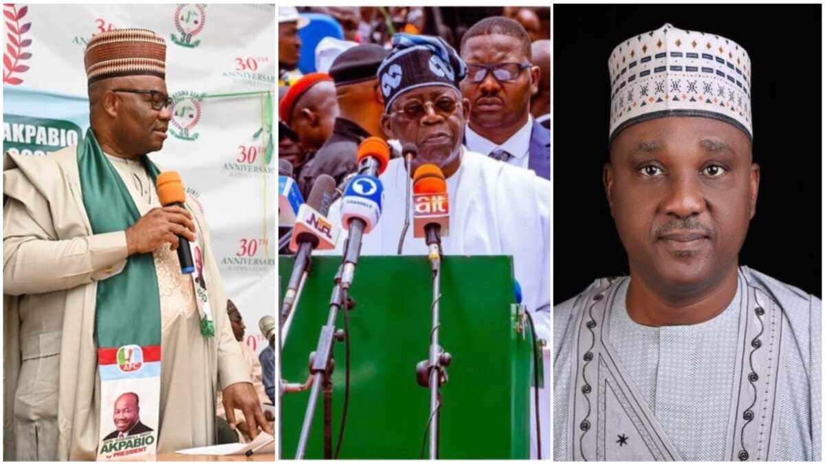 National Assembly: Tinubu, APC's Nominees Begin Permutations to ...