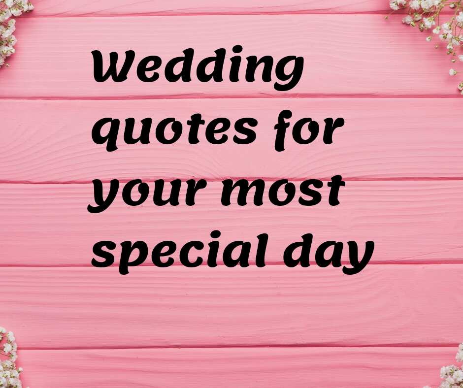 Wedding quotes