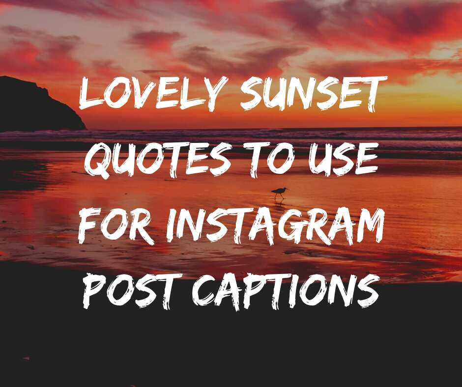 50 Lovely Sunset Quotes To Use For Instagram Post Captions - Legit.ng