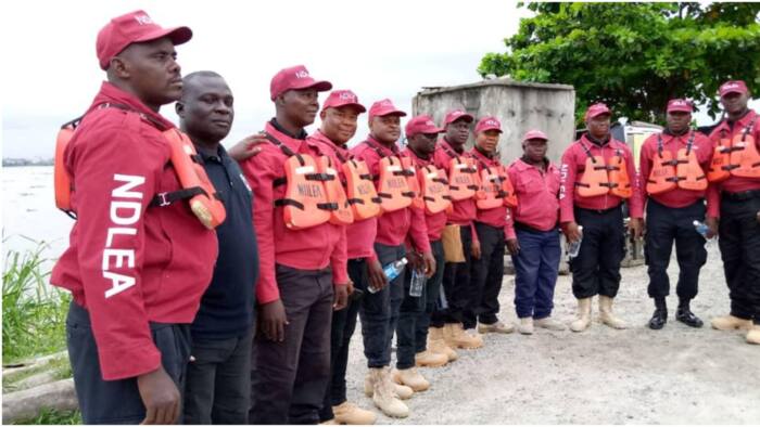 How to Apply as NDLEA begins recruitment of fresh graduates