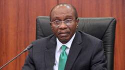 Naira redesign: Suspended CBN governor Emefiele faces yet another battle with Tinubu's govt