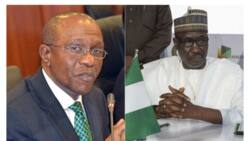 CBN, NNPC, FIRS, other agencies in illegal recruitment scandal, FG to sanction culprits