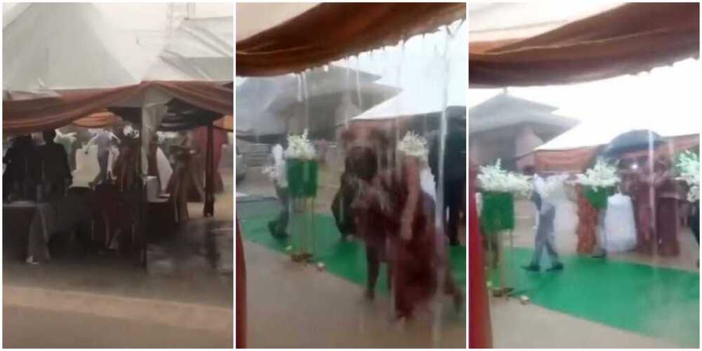 Reactions as couple, guests and bridesmaids defy rain at their wedding in Ogun state to showcase dance skills