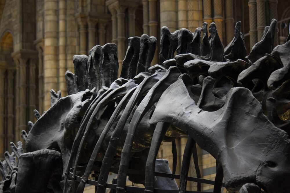 How many museums are in Nigeria? How many museums are in Nigeria?
