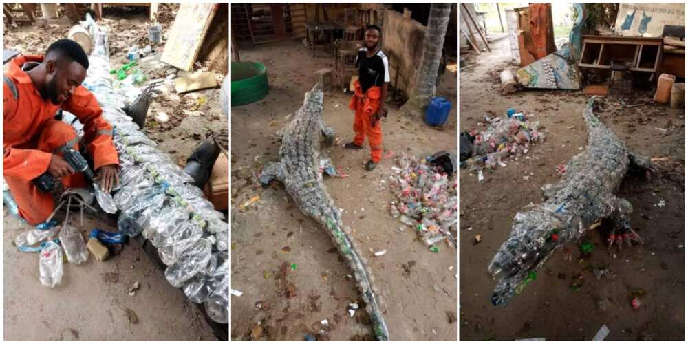 Nigerian man creates a 'moving' crocodile out of plastic waste, photos cause stir, many thought it looked real