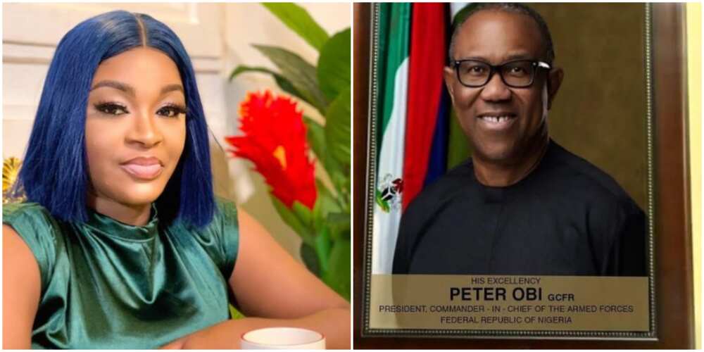 Chacha Eke, Peter Obi's presidential frame