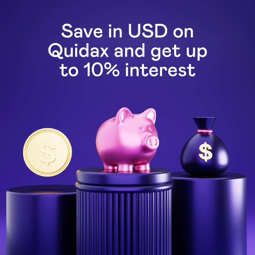 Quidax Launches US Dollar (USD) Savings with to up 10% Interest