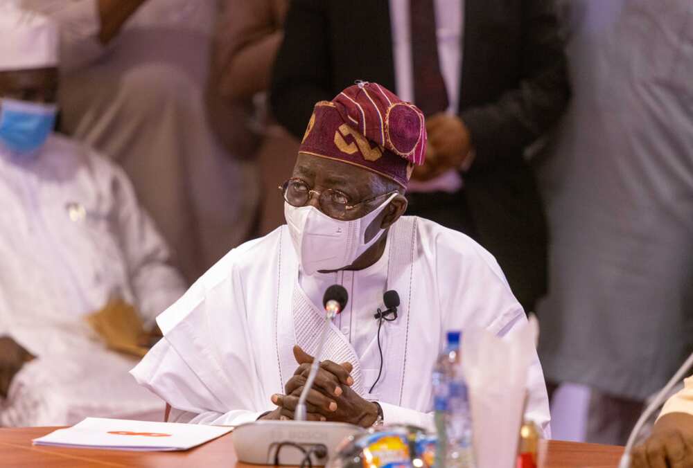 Bola Tinubu, Muhammadu Buhari, Colloquium