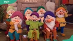 7 dwarfs' names from Snow White, their personalities and fun facts