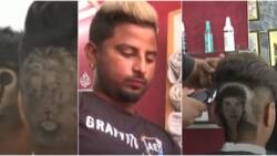 Barber brothers stun many as they draw Michael Jackson, other images on customers' heads in cute video