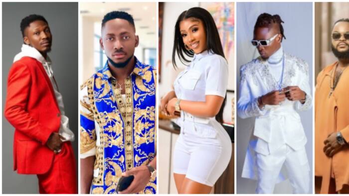 BBNaija: Legit fans decide on which season of the show was the best