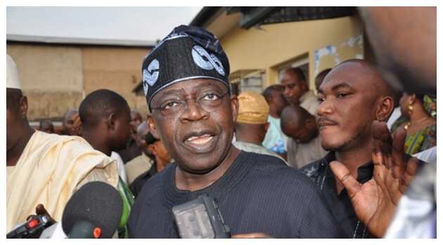 2023 Presidency: Nigeria will be Safe under Tinubu, Northern APC Chieftain