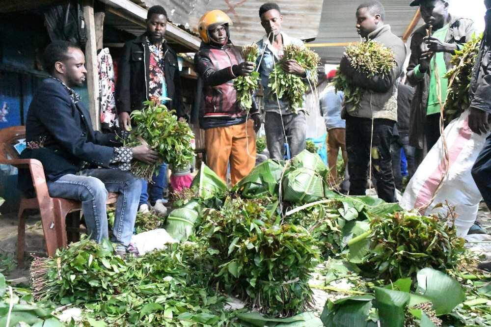 Khat traders show at an open air market in the central Kenyan town of Maua Khat traders show at an open air market in the central Kenyan town of Maua