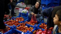 Erdogan's priorities for last term as Turkey president