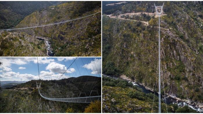 Incredible photos of the N1 billion world's longest suspended pedestrian bridge set to be the next big thing
