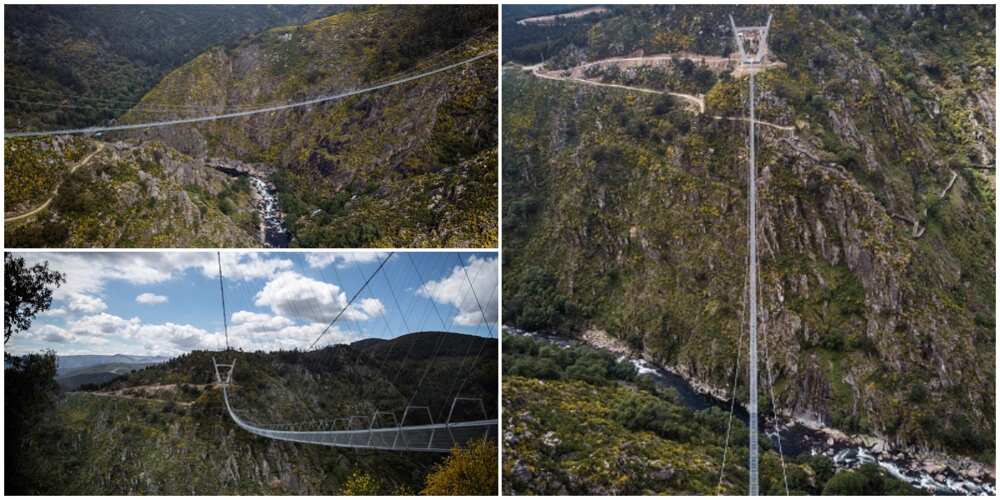 Incredible Photos of the N1 Billion World's Longest Suspended Pedestrian Bridge Set to be the Next Big Thing
