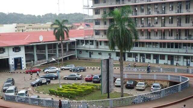 Coronavirus: UCH shuts down major operations as doctors self-isolate