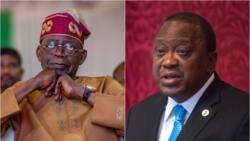 May 29: "You're father of all, symbol of unity", Kenyatta tells Tinubu