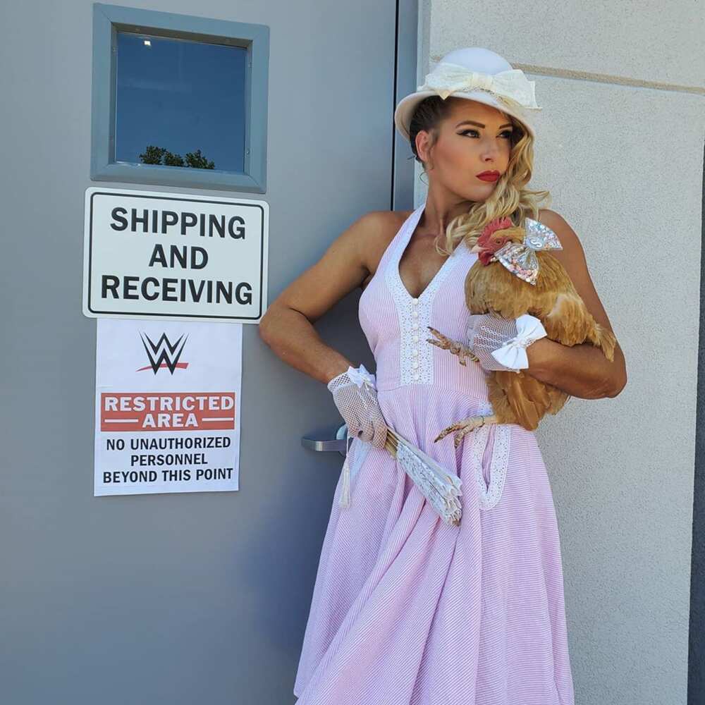 wwe Lacey Evans