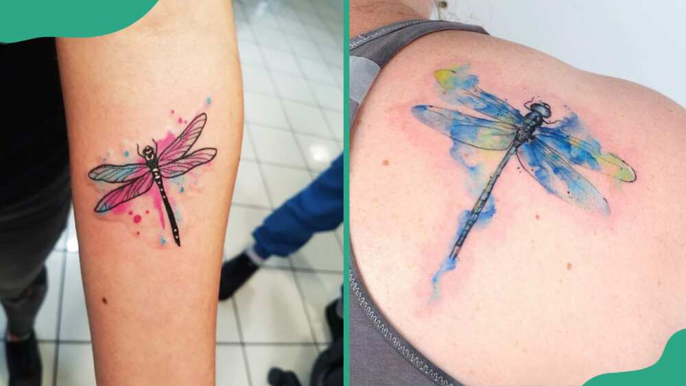Watercolour dragonfly tattoos