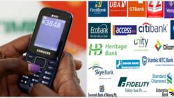 "When two elephants fight": MTN, Airtel, others may begin charging customers for bank transfers