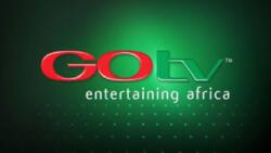 GOtv subscription payment options in Nigeria 2023: full list