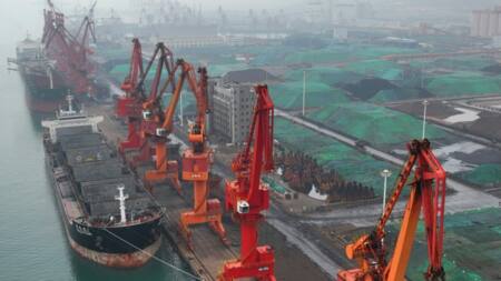 China's November imports, exports plunge due to Covid rules