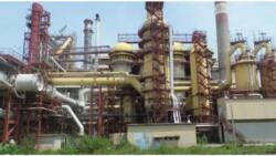 Union tells Buhari to ensure revival of Ajaokuta Steel Company