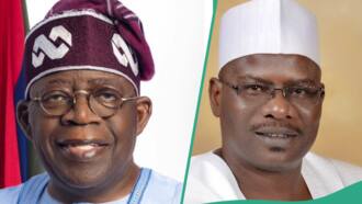 “Bola, on your mandate”: Ndume speaks on rendition of Tinubu’s campaign tune in national assembly