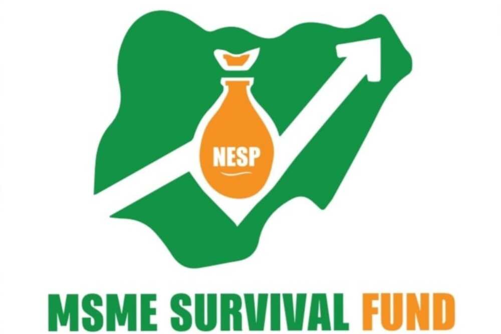 Survival Fund application