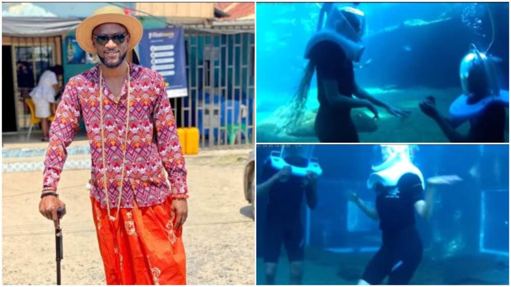 Fishes swarm by as Omashola proposed to his lover. Fishes swarm by as Omashola proposed to his lover.
