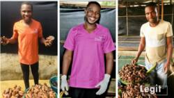 From zero to millions: Man hits goldmine in snail farming, now wants to teach others
