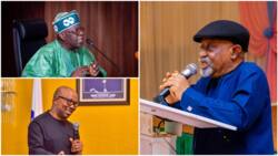 2023: Tinubu or Peter Obi? Buhari's minister from southeast speaks on preferred presidential candidate