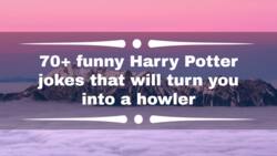 70+ funny Harry Potter jokes that will turn you into a howler