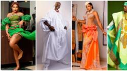 BBNaija reunion erupts with dazzling ensembles: Hermes, 8 other stars wow fans in traditional glamour